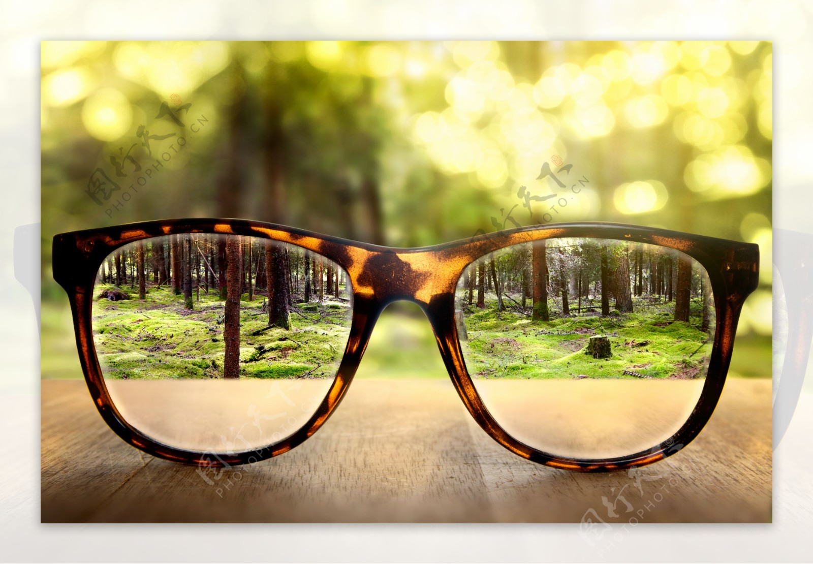 眼镜的树林风景图片