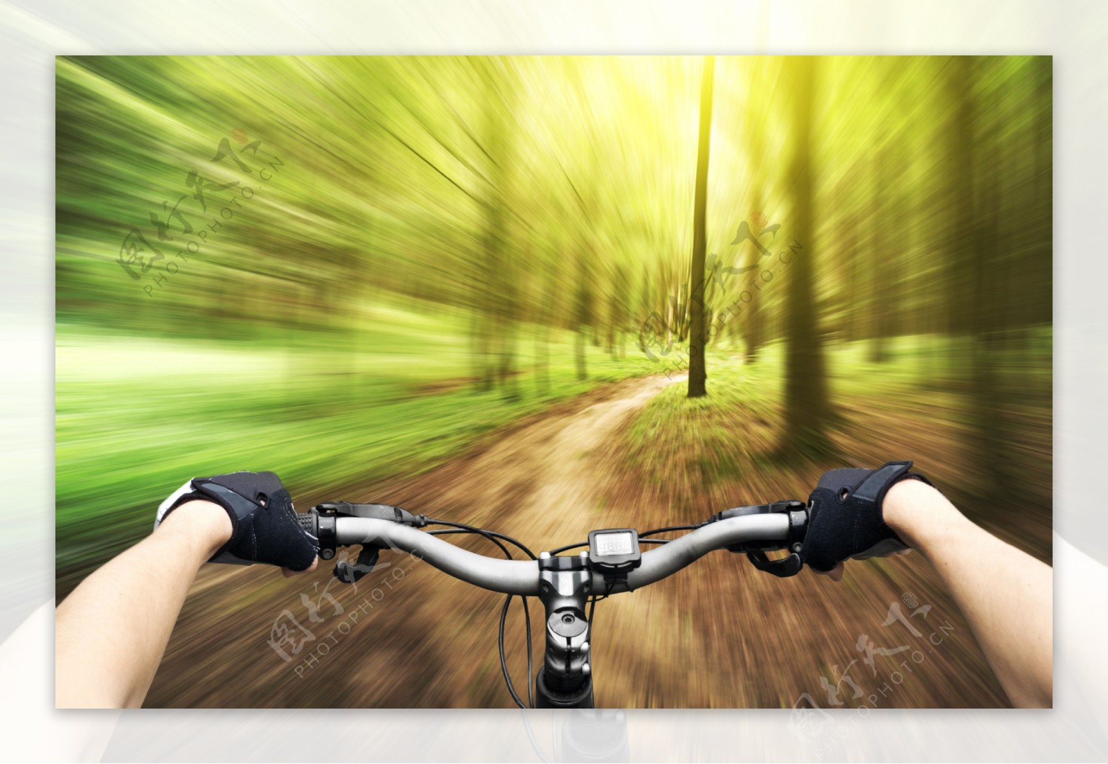 树林里骑自行车图片