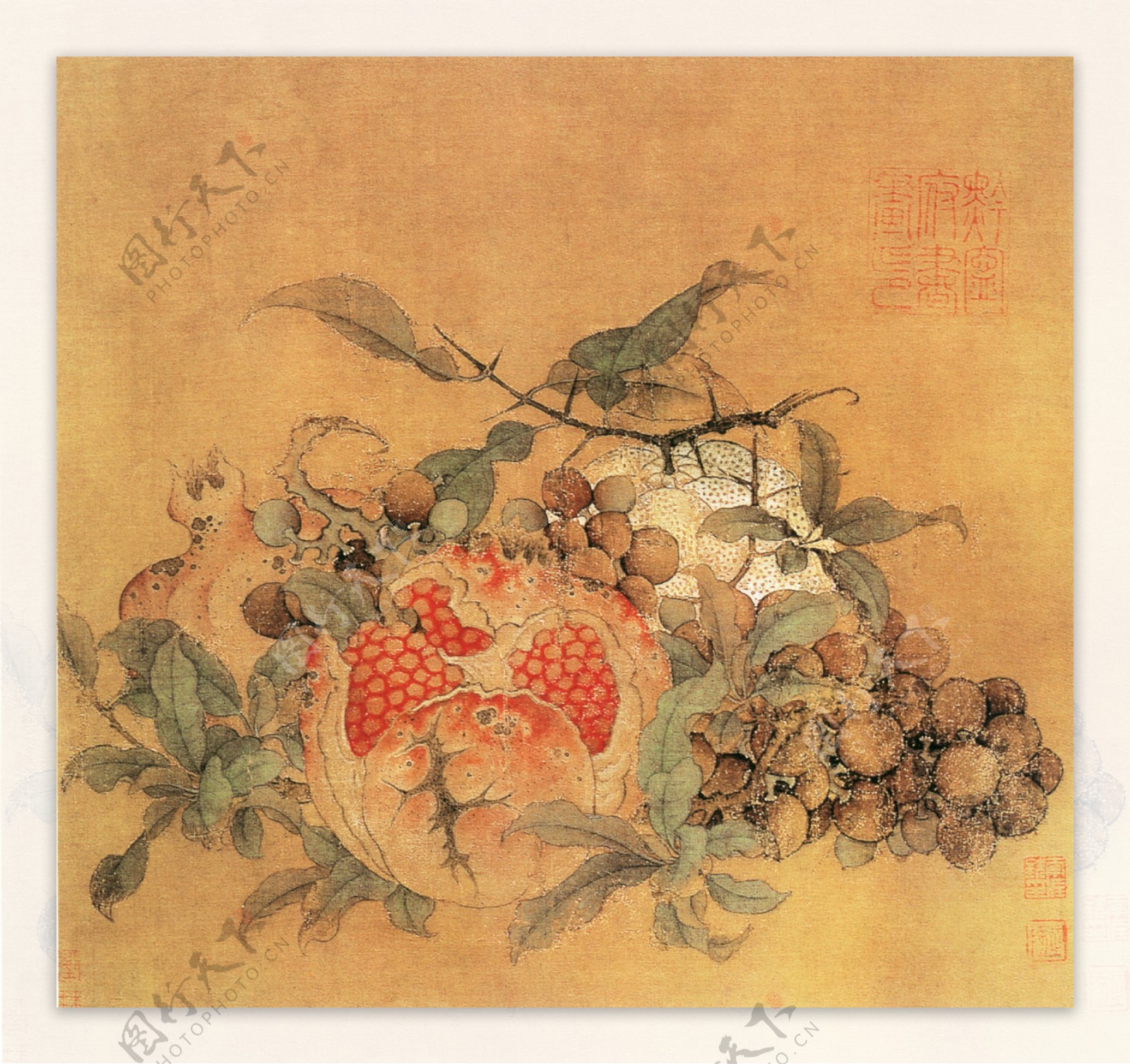 橘子葡萄石榴图花鸟画中国古画0084