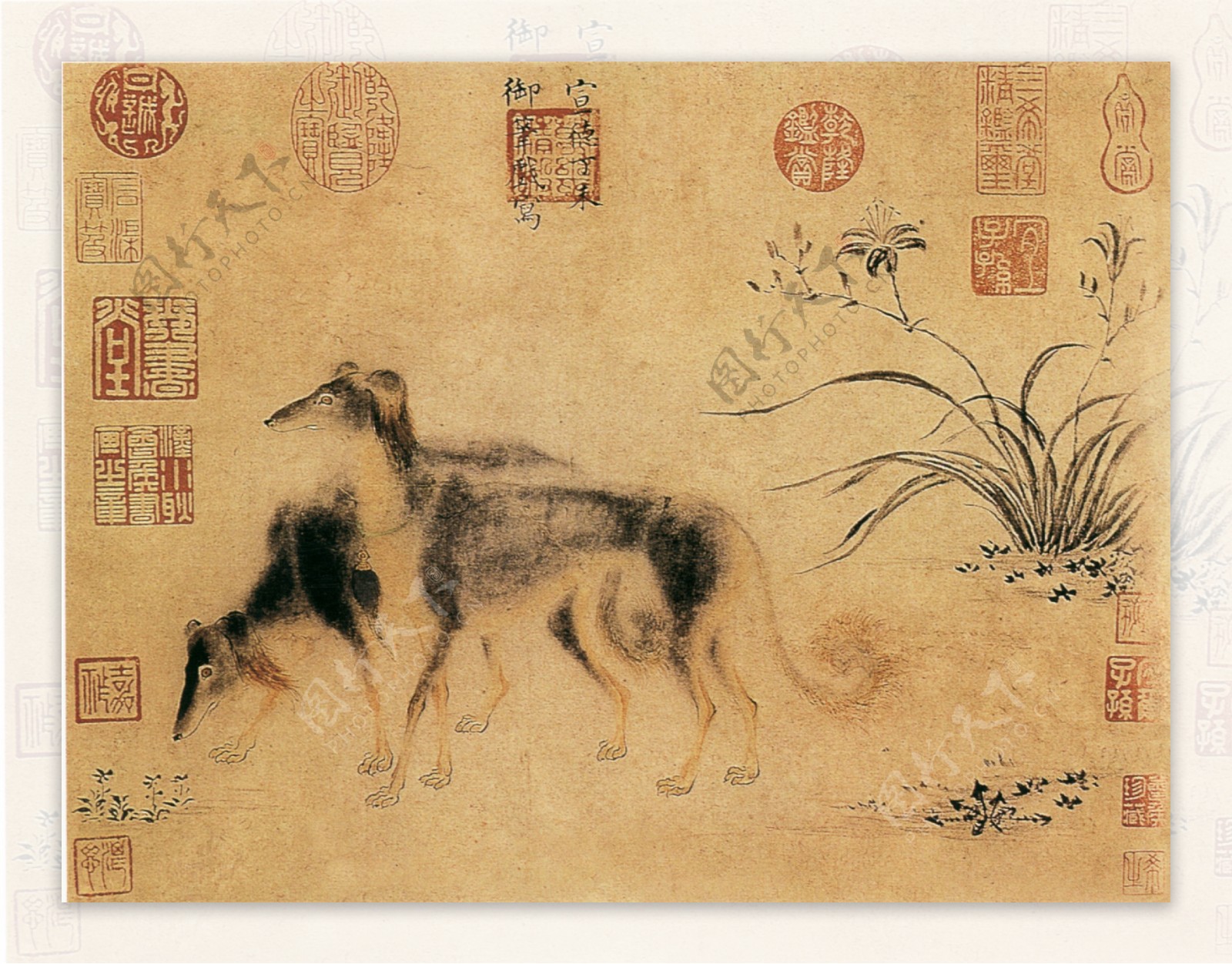 双犬图b花鸟画中国古画0184