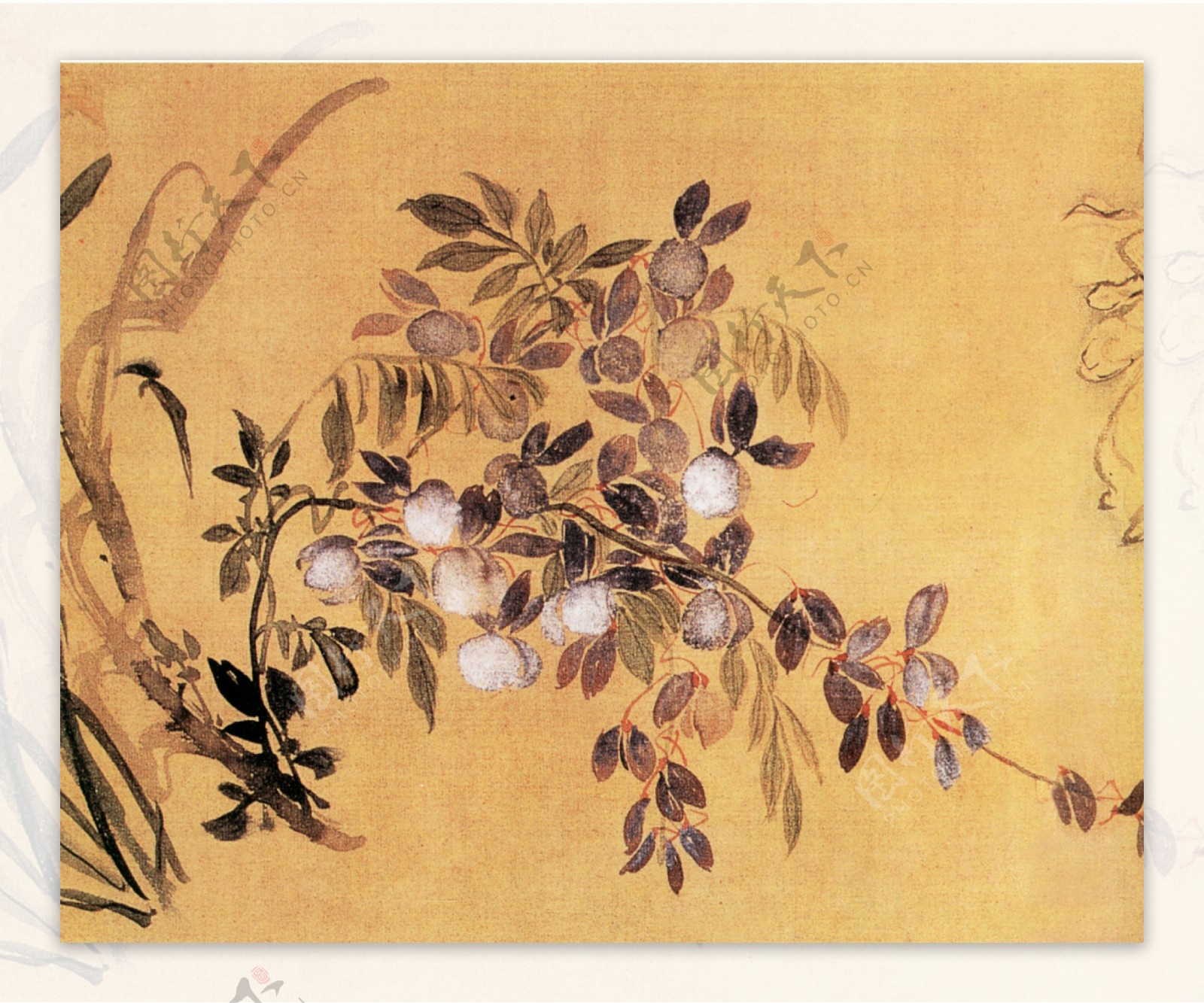 花卉图a花鸟画中国古画0471