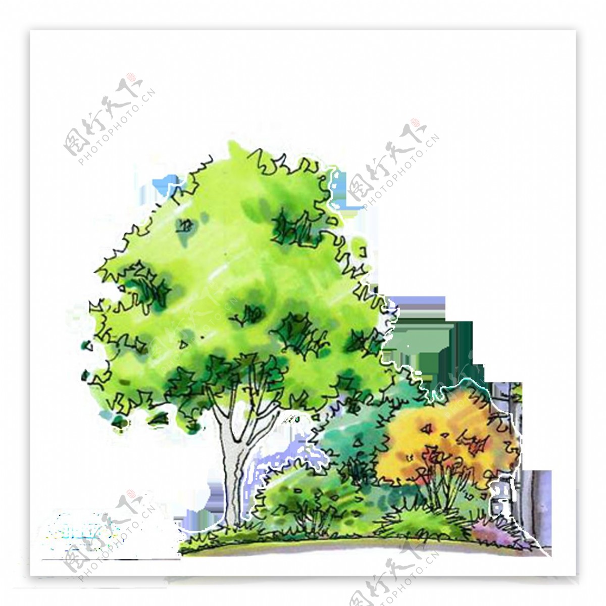 绿树手绘唯美高清插画