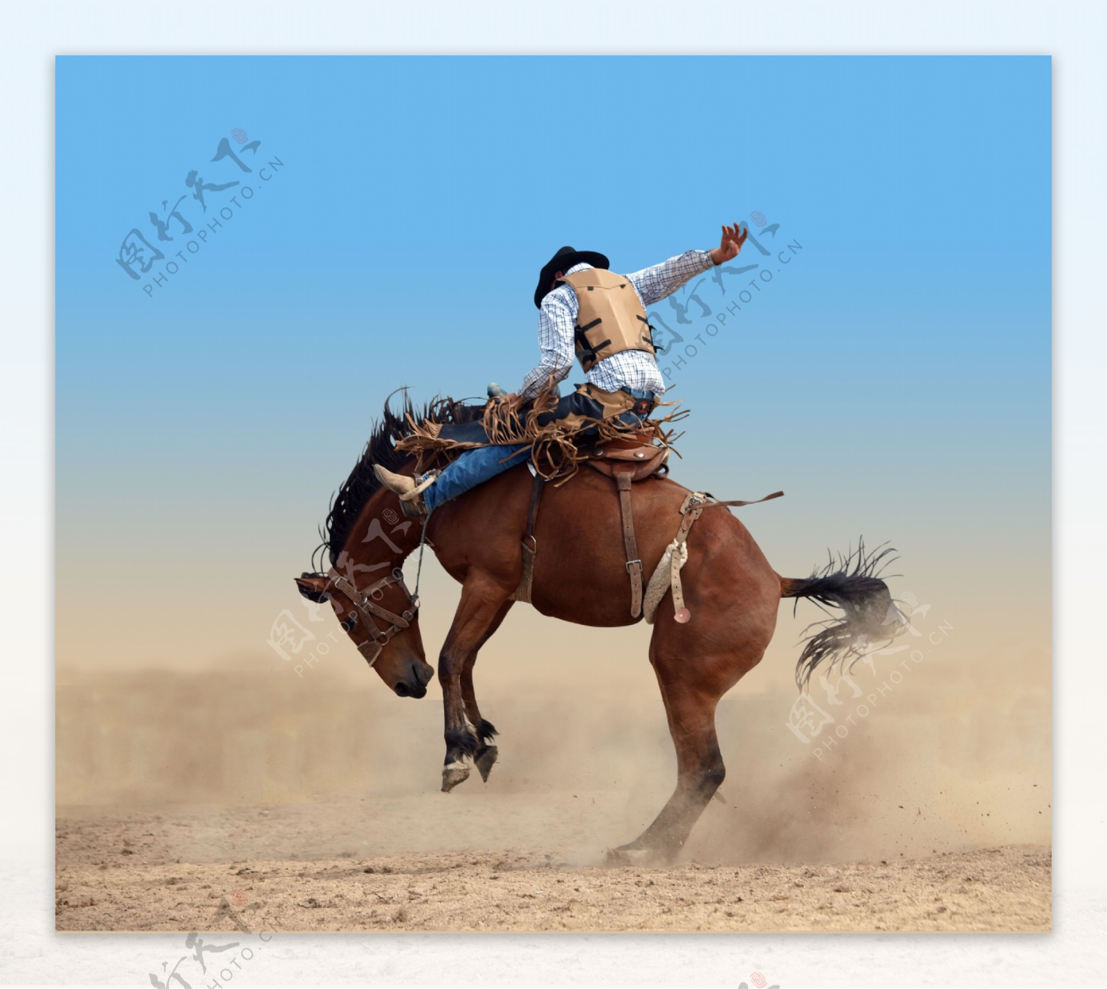 骑马的牛仔摄影图片