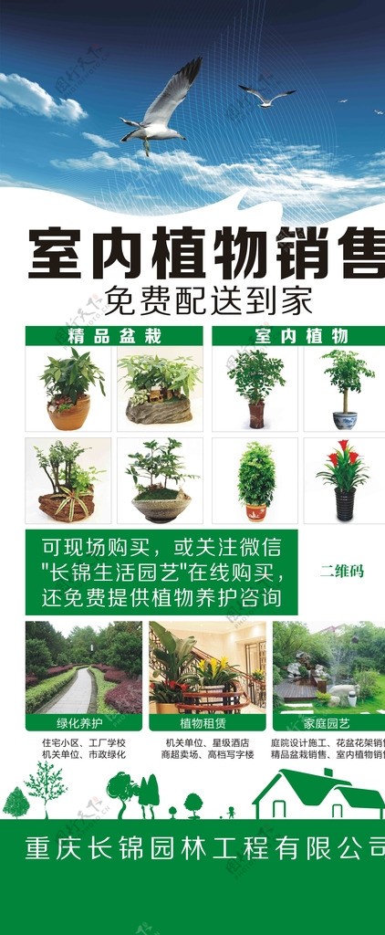 植物销售易拉宝