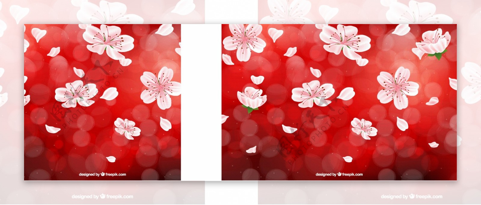 红色背景的樱花和背景虚化效果
