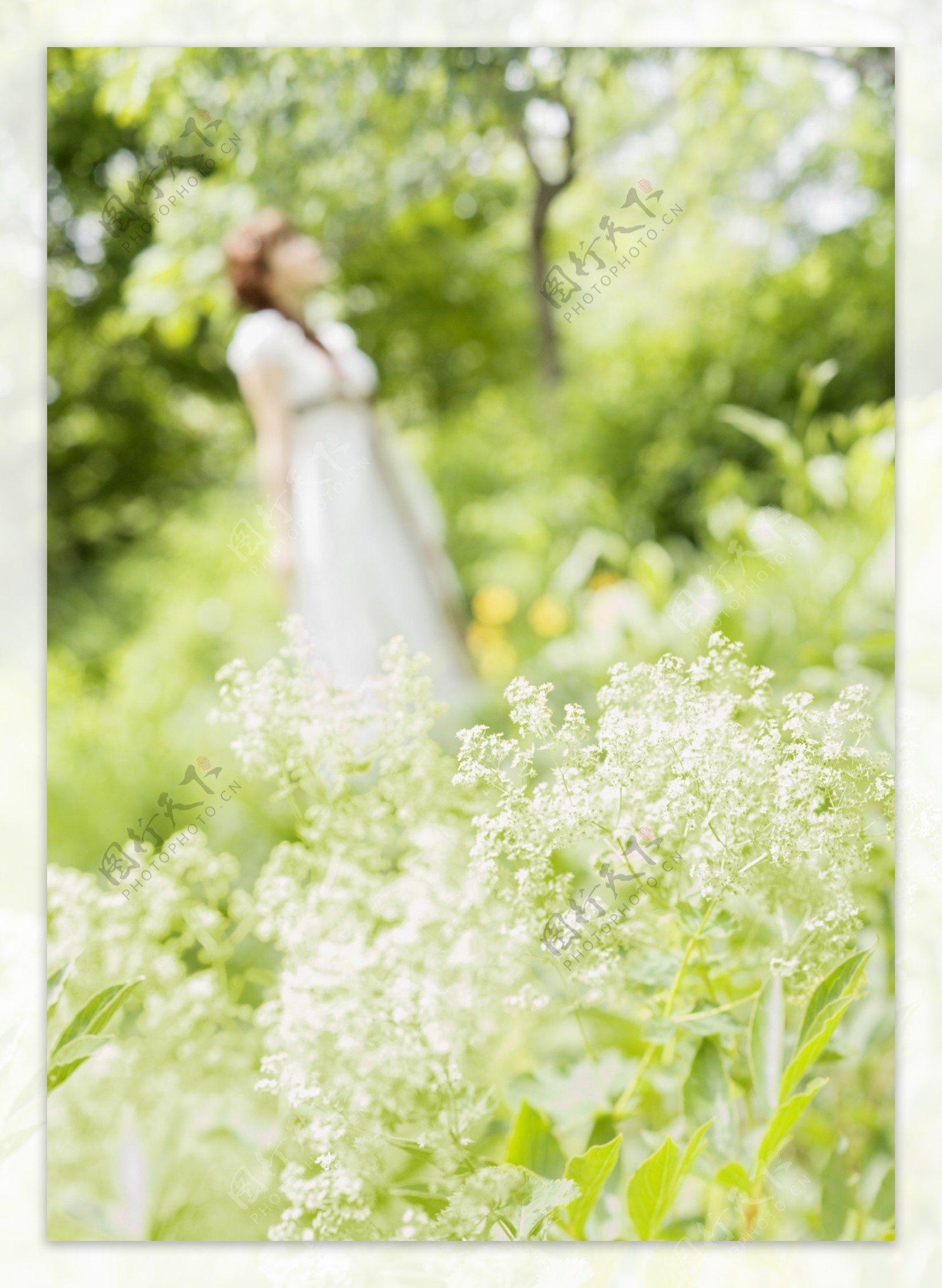 花丛中的新娘图片图片