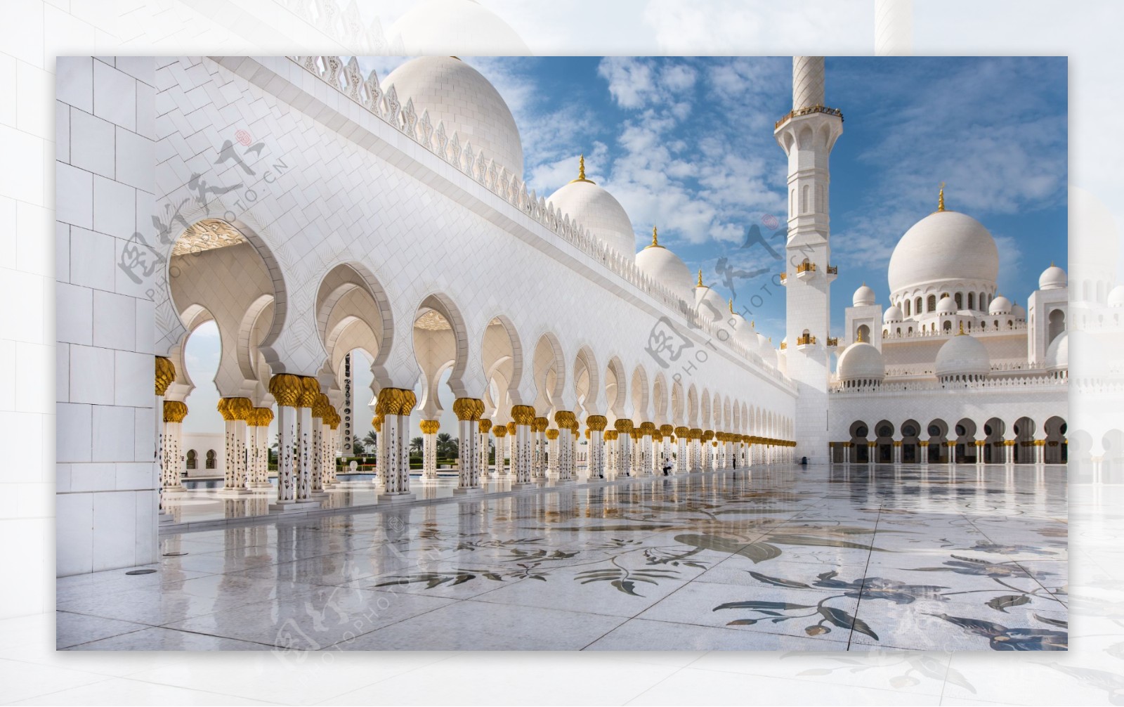 白色阿布扎比清真寺图片