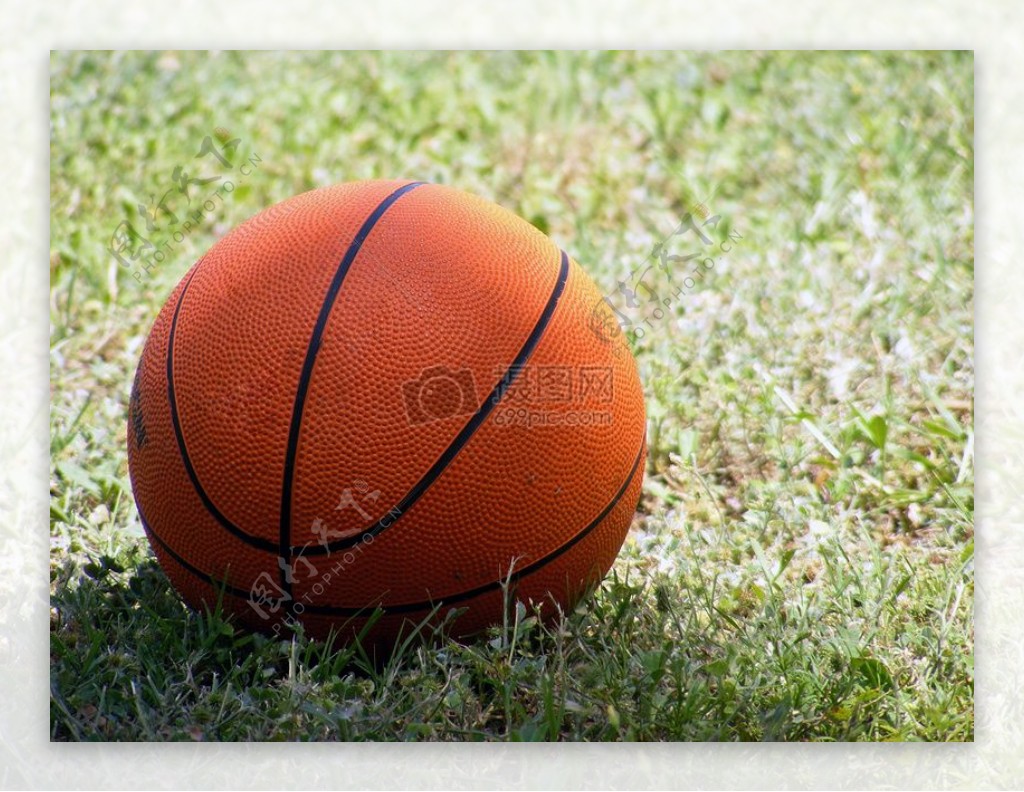 草地上的篮球
