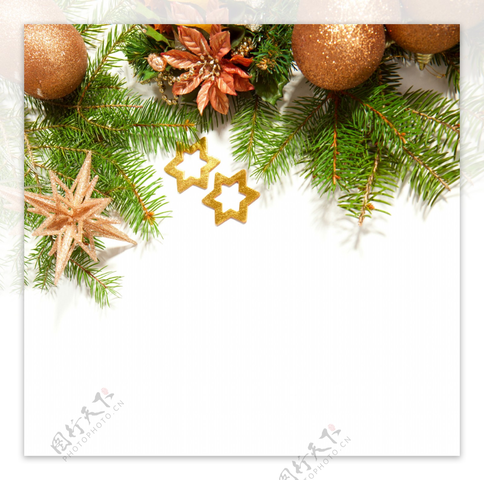 圣诞节树枝边框图片