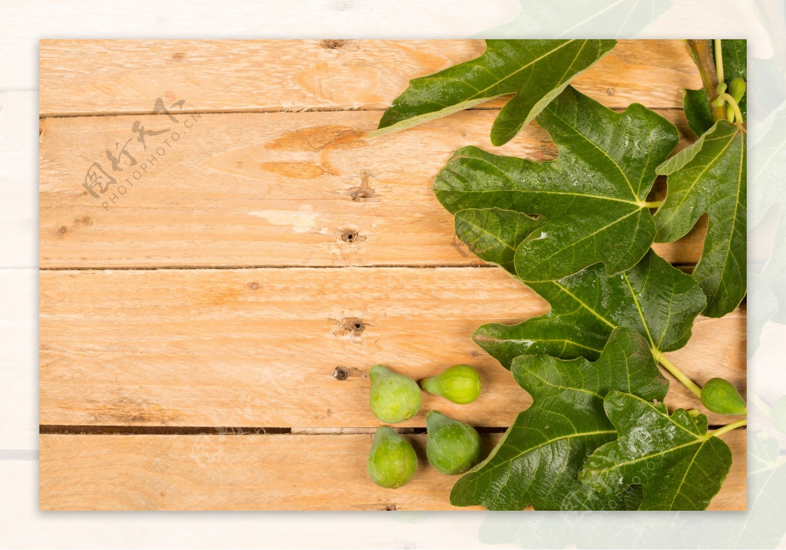 木板上的绿叶和果子图片