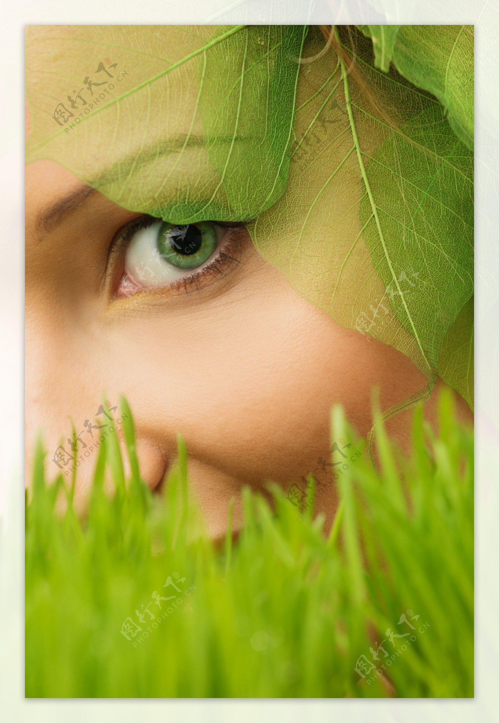 绿叶中的美女眼睛图片