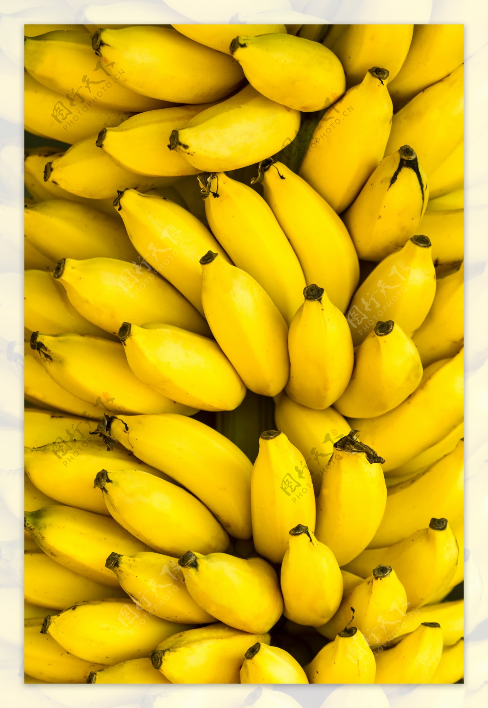 高清香蕉摄影