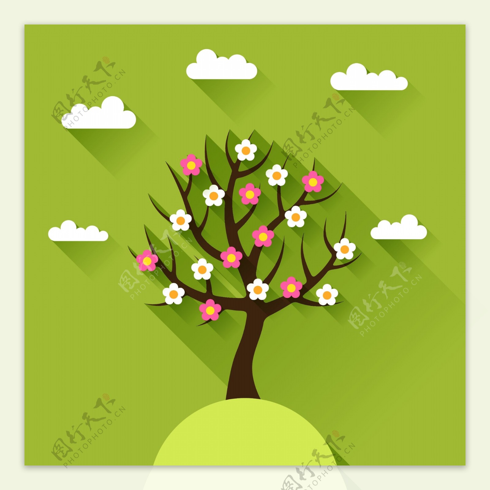 春季大树图片