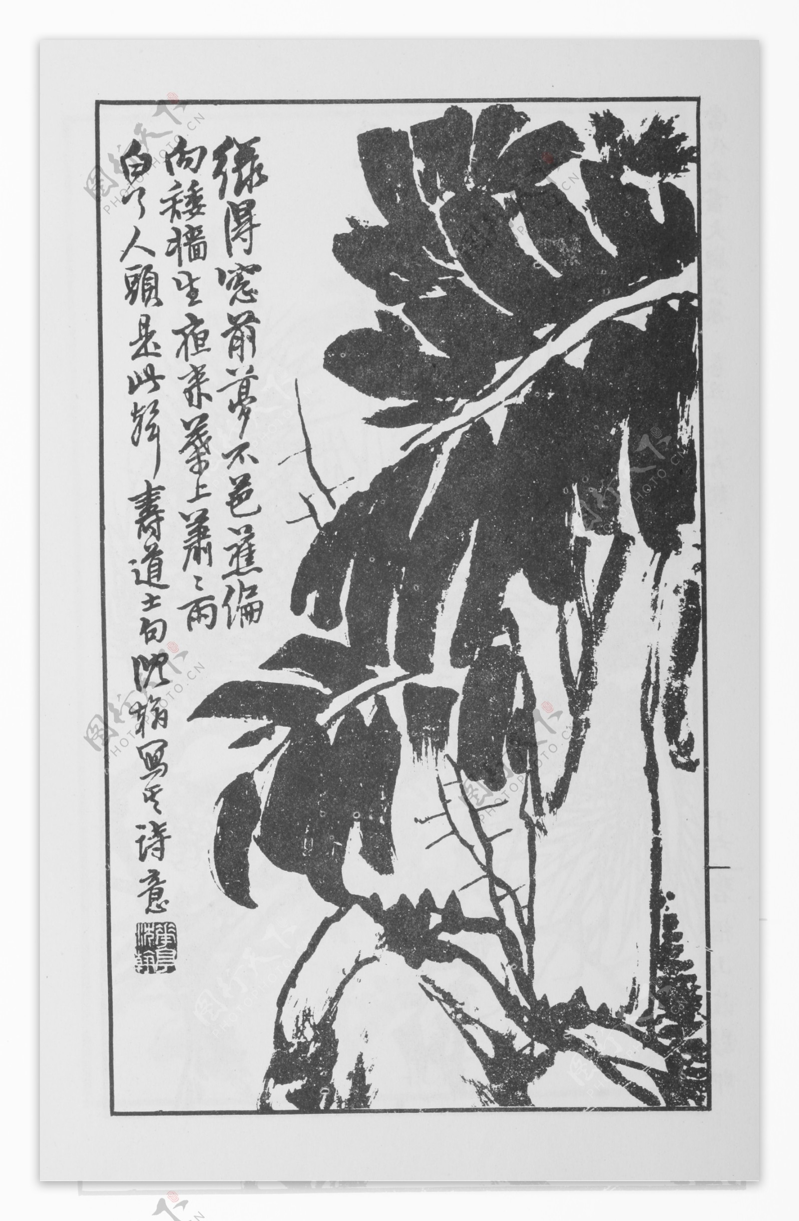 花卉画中国画当代名画大观正集76