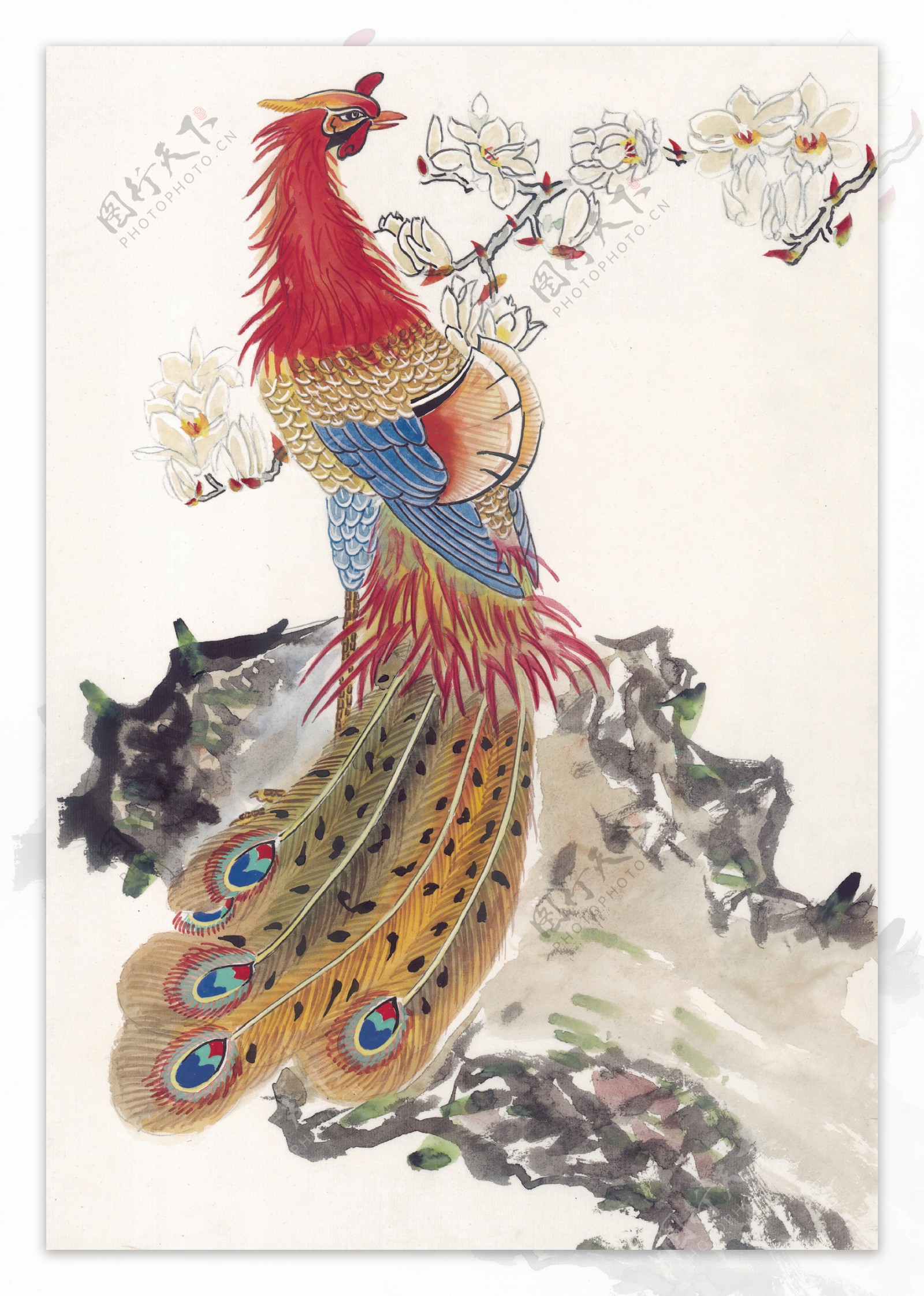 花鸟中国画40