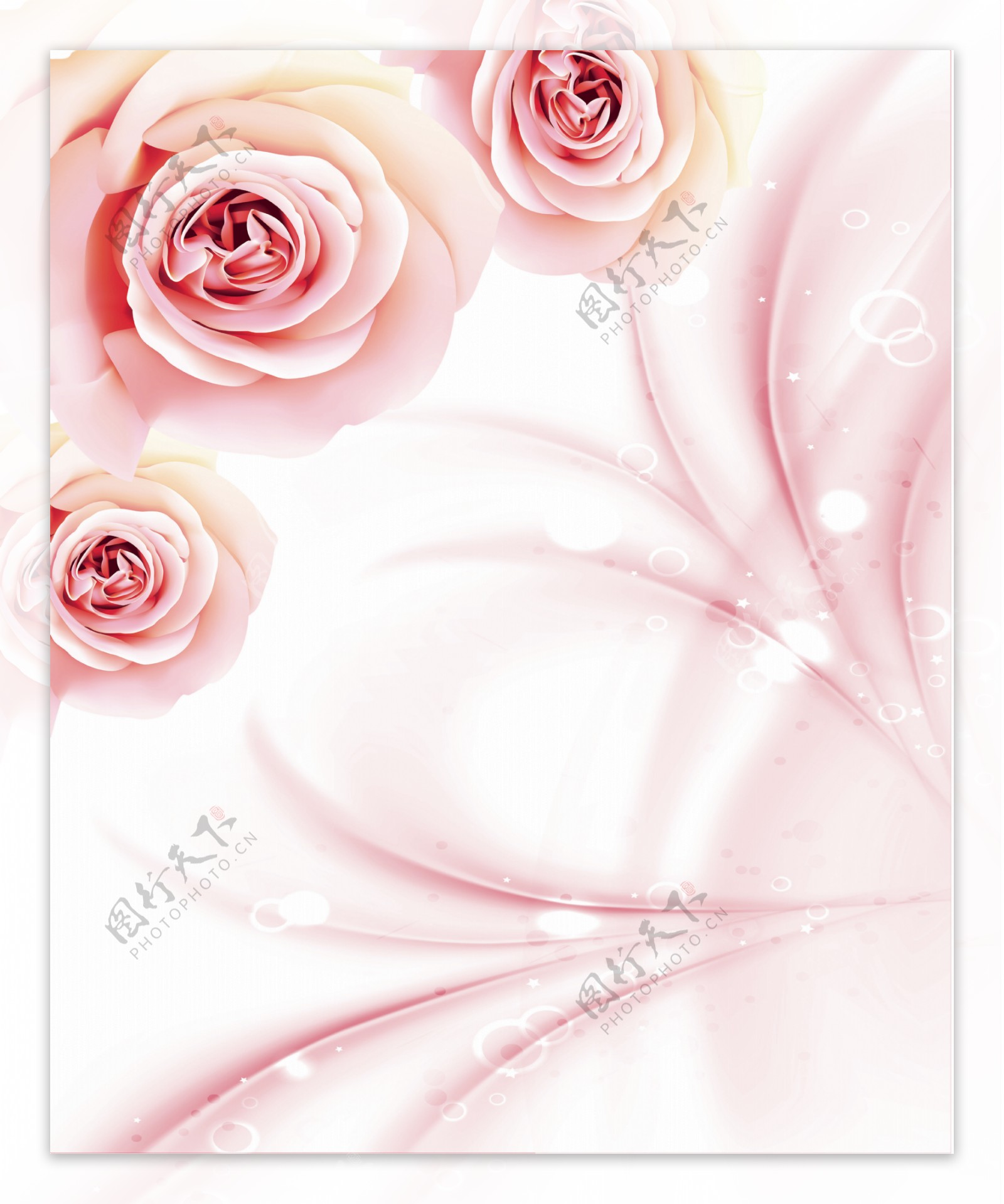 粉色玫瑰180x220