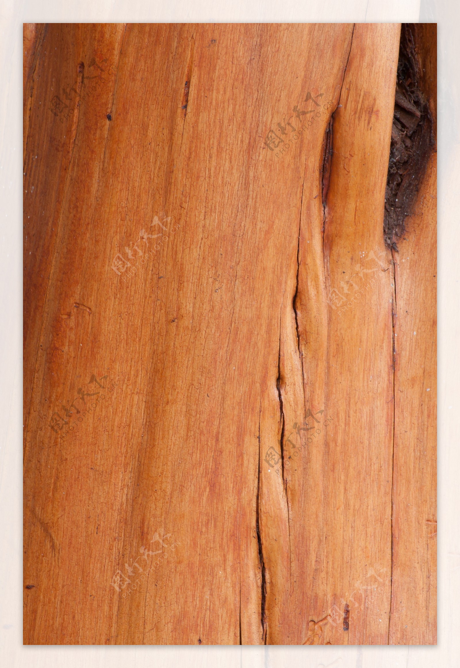 木材表面纹理7