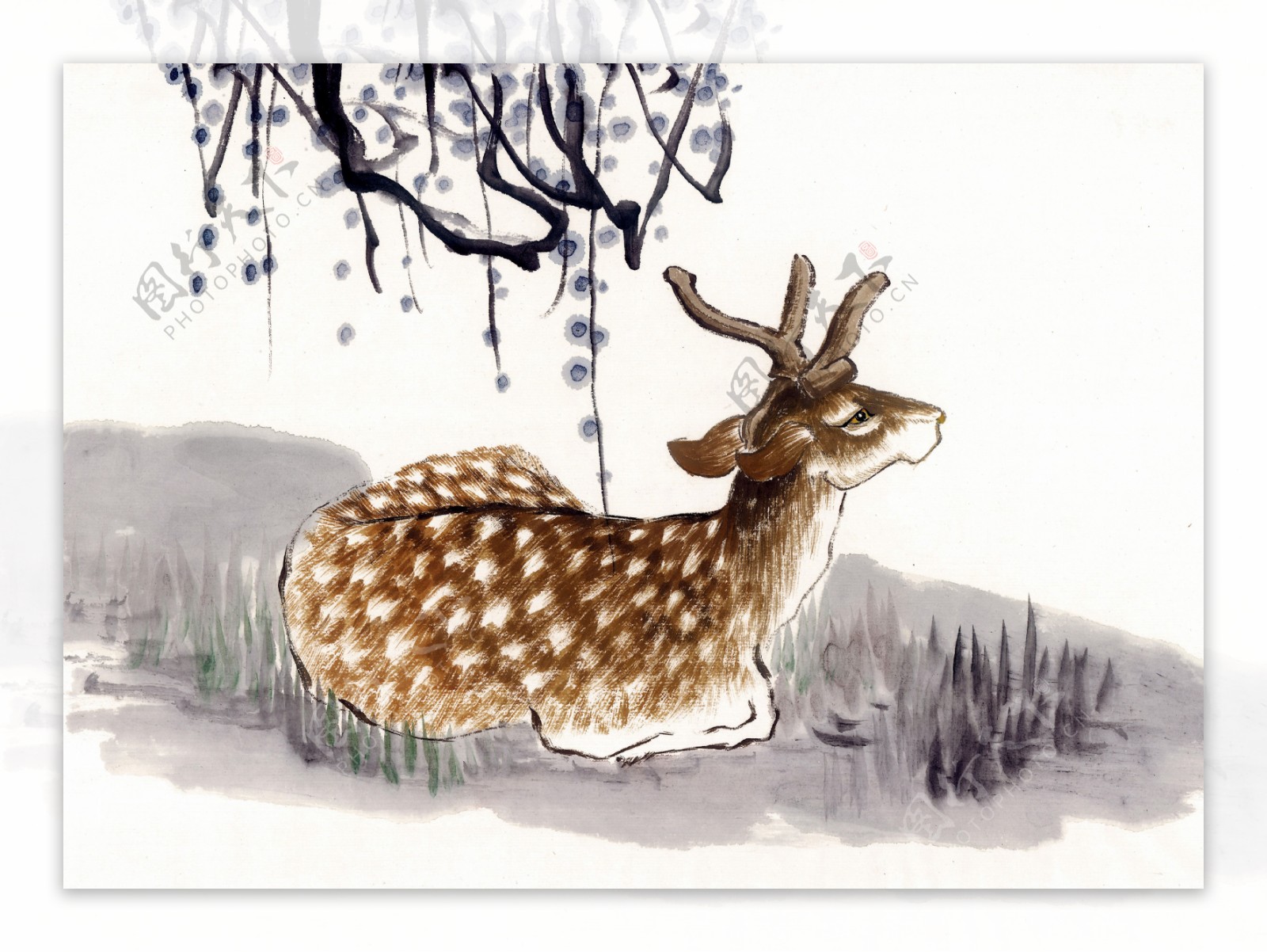 鹿写意动物画国画0026
