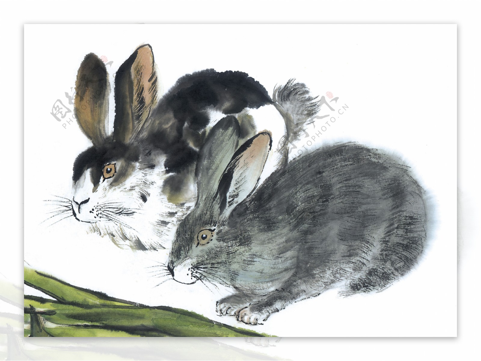 兔子写意动物画国画0072