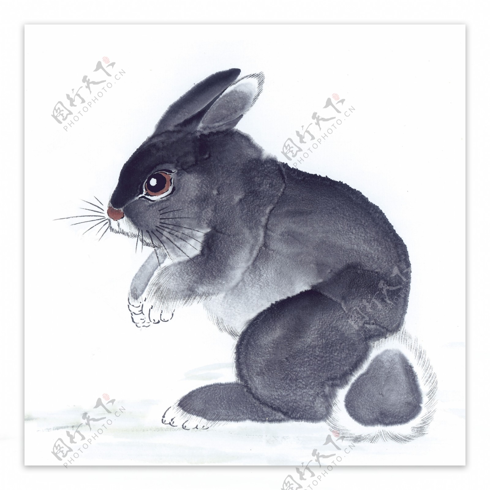 兔子写意动物画国画0078