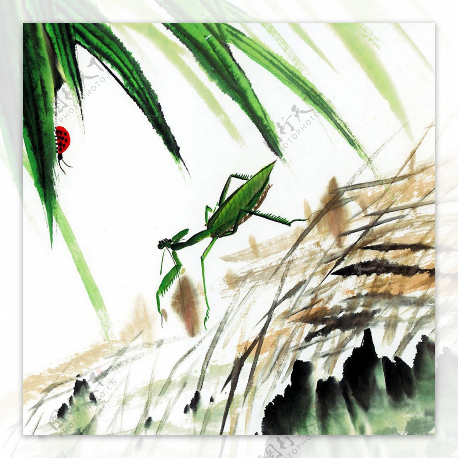描绘螳螂的中国画
