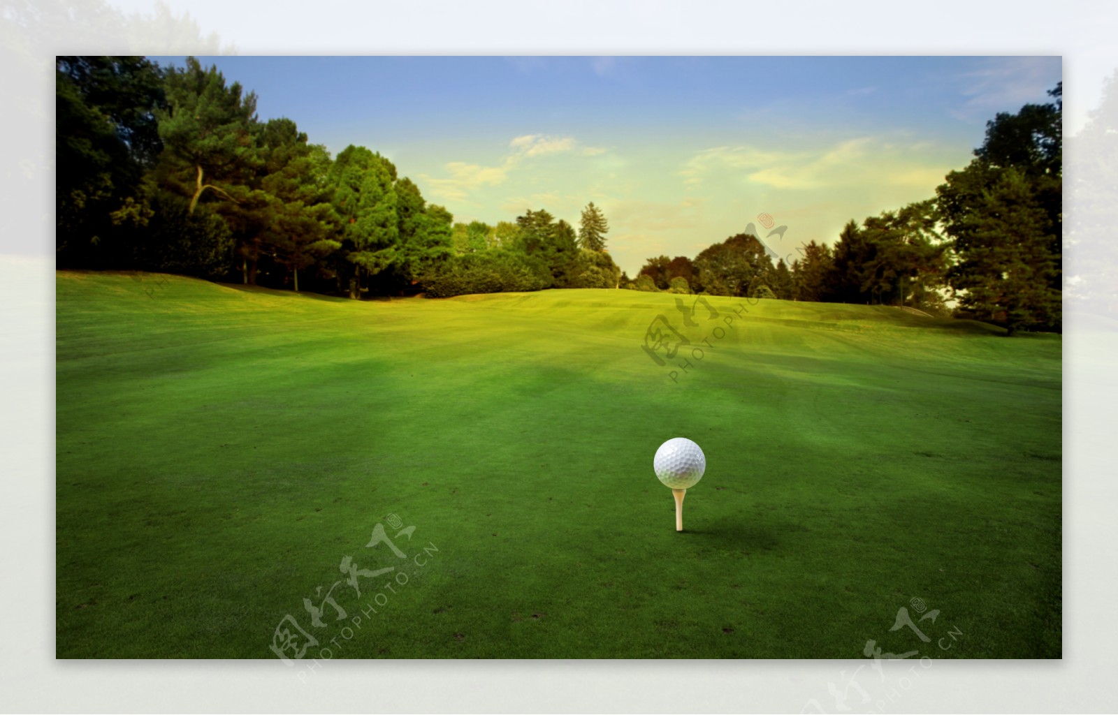 草地上的高尔夫球图片