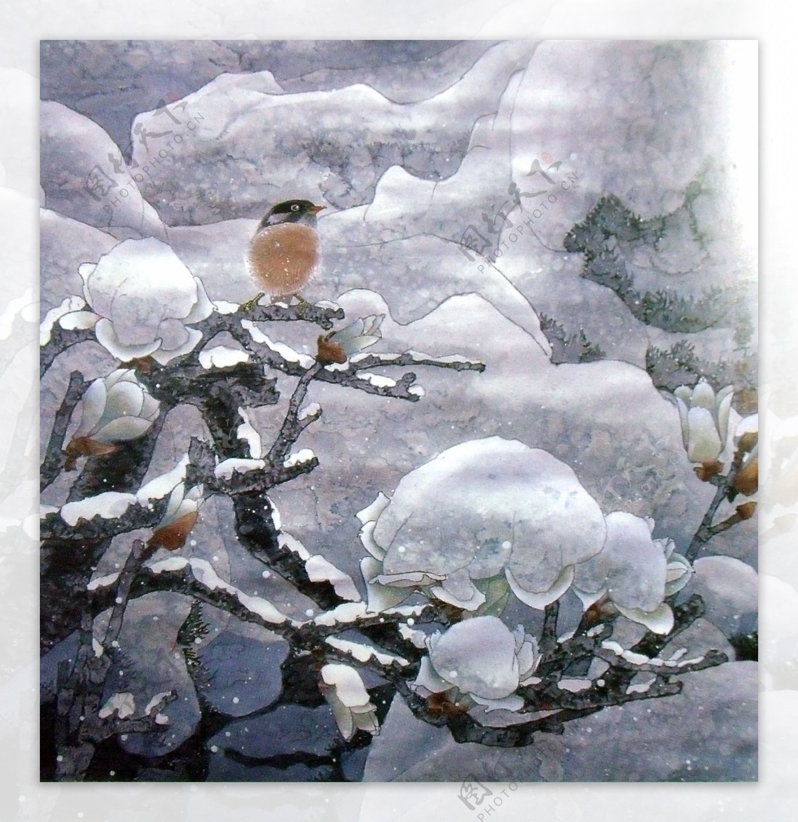 冬天树木上的小鸟图片