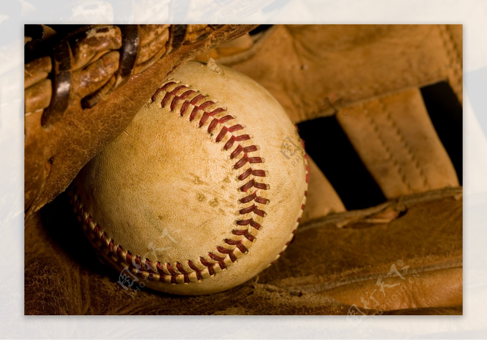 皮夹袋里的棒球图片