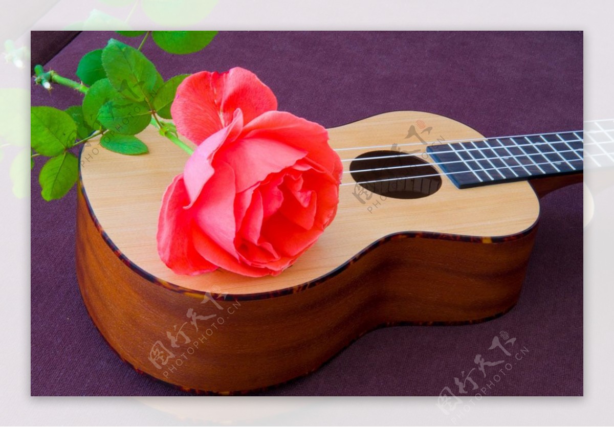 红色玫瑰花和吉他图片