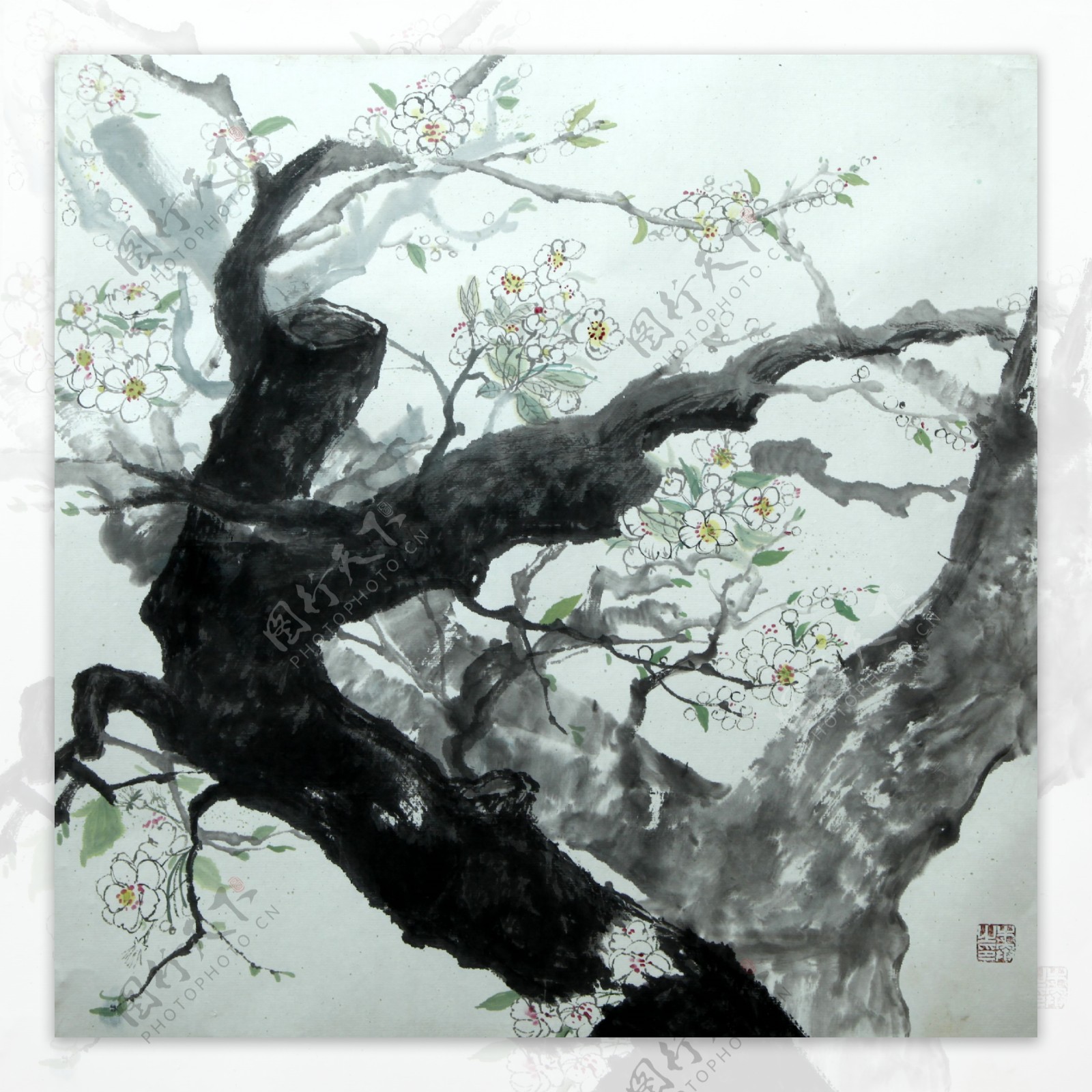 梨花中国画6021560厘米牛奔