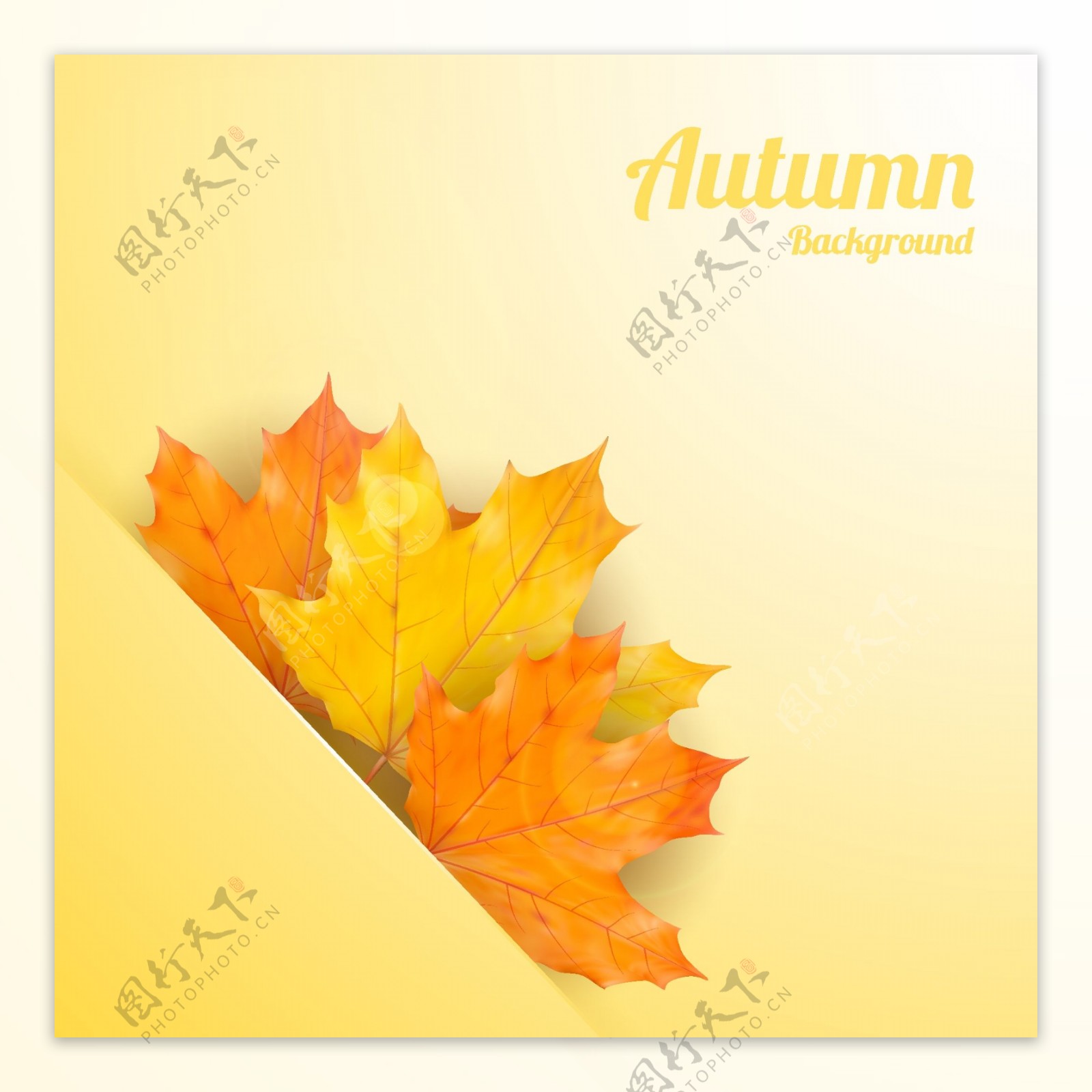 秋季镶嵌树叶背景矢量素材