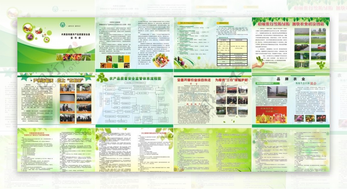 绿色生态农业画册