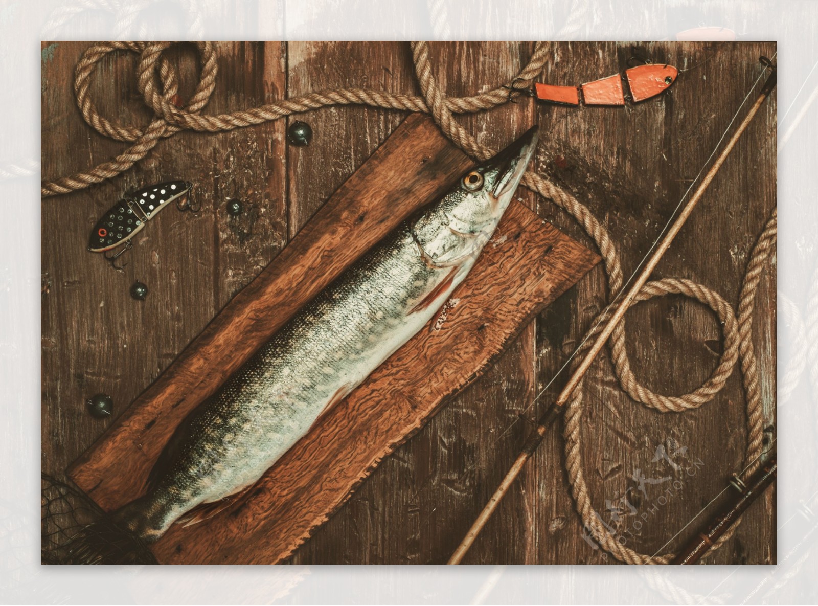 木板上的鱼与鱼竿图片