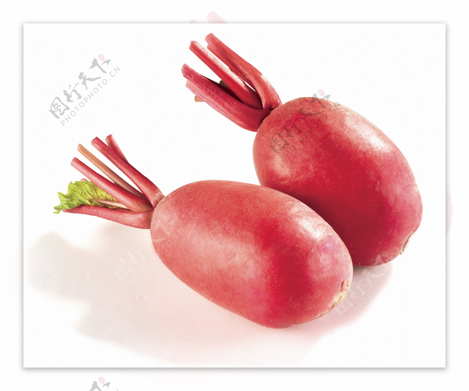 红皮萝卜图片