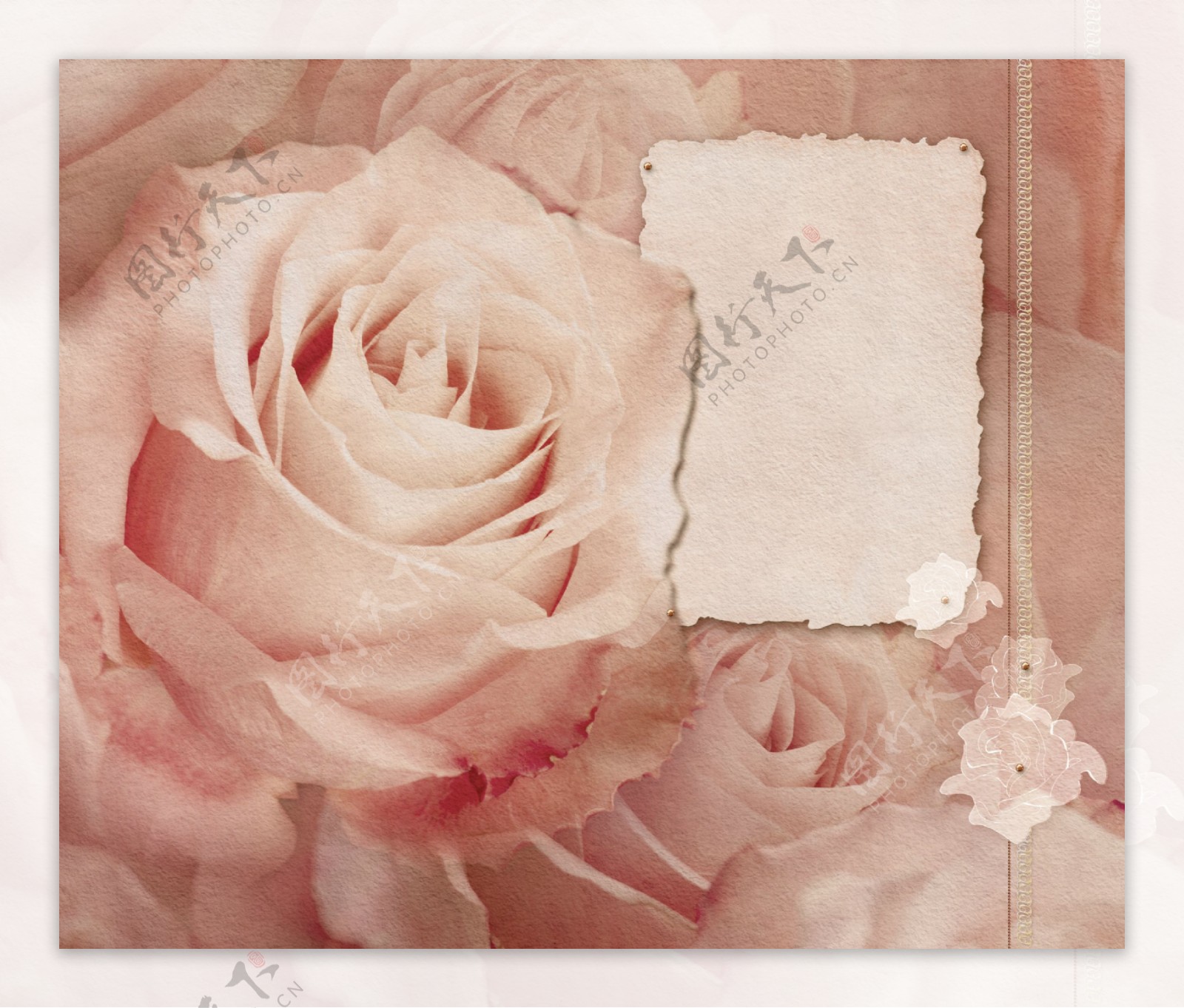 浪漫玫瑰花卡片