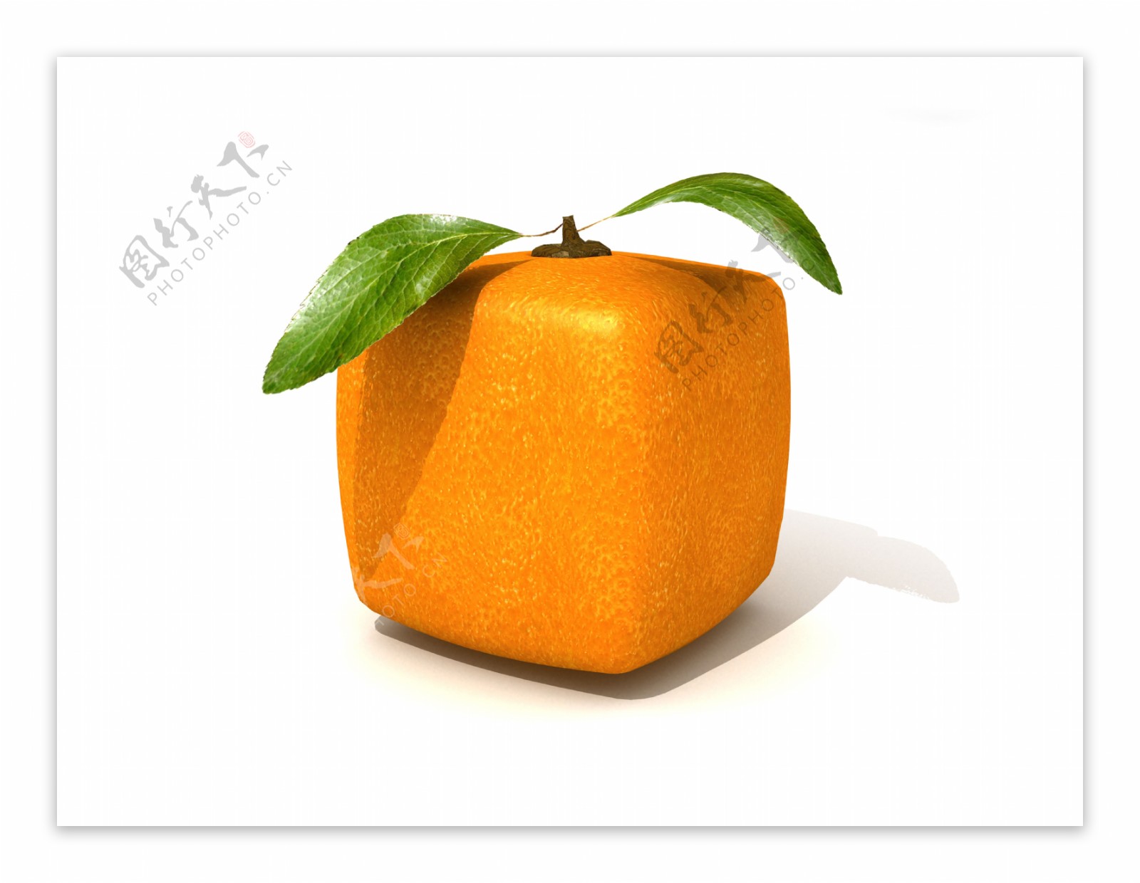 创意橙子设计图片