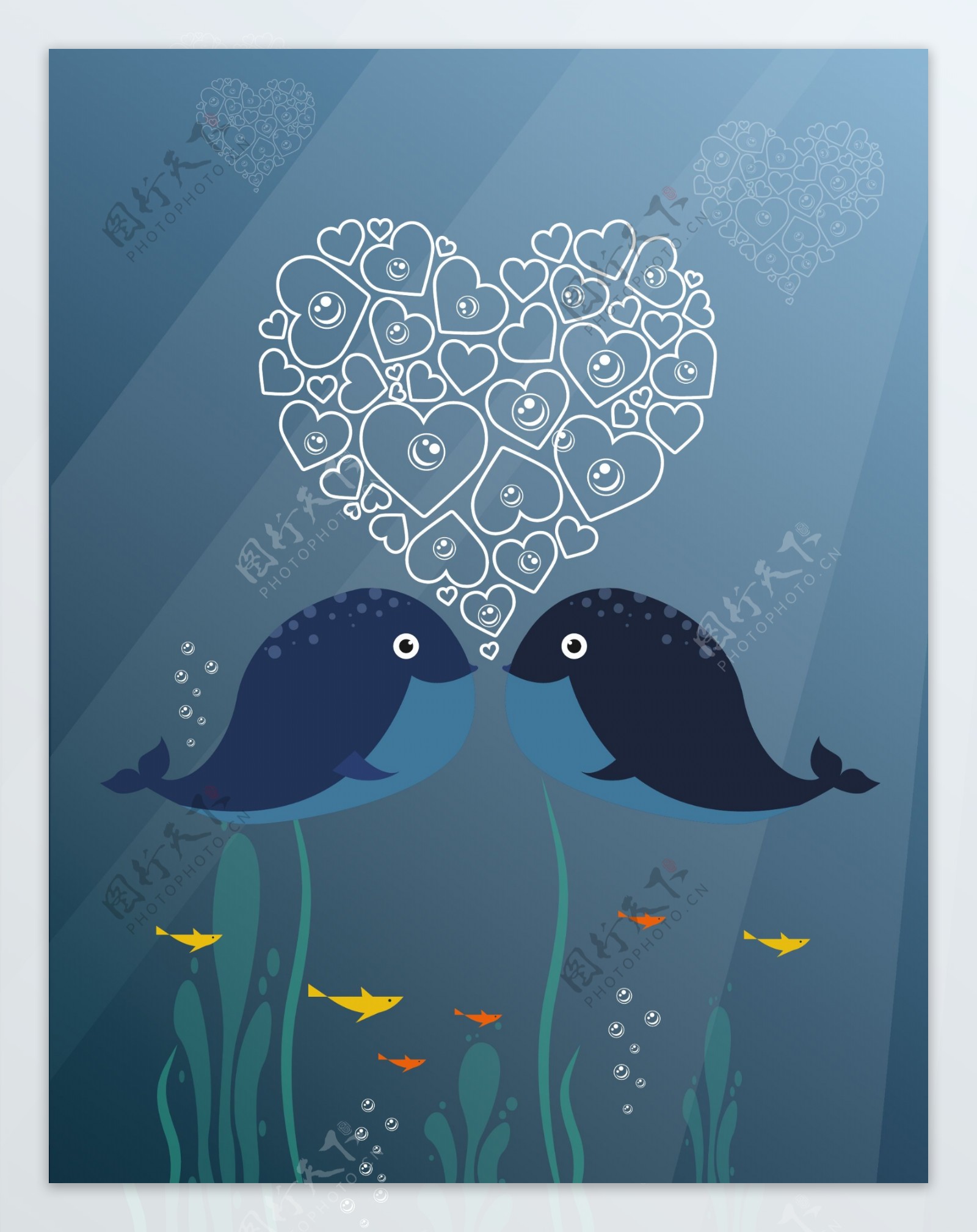 情人节手绘海豚插画