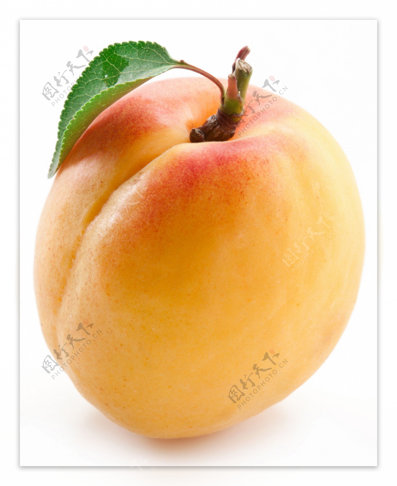 买桃子不是越大越好，分清“公桃母桃”，香甜多汁，味道更好_口感