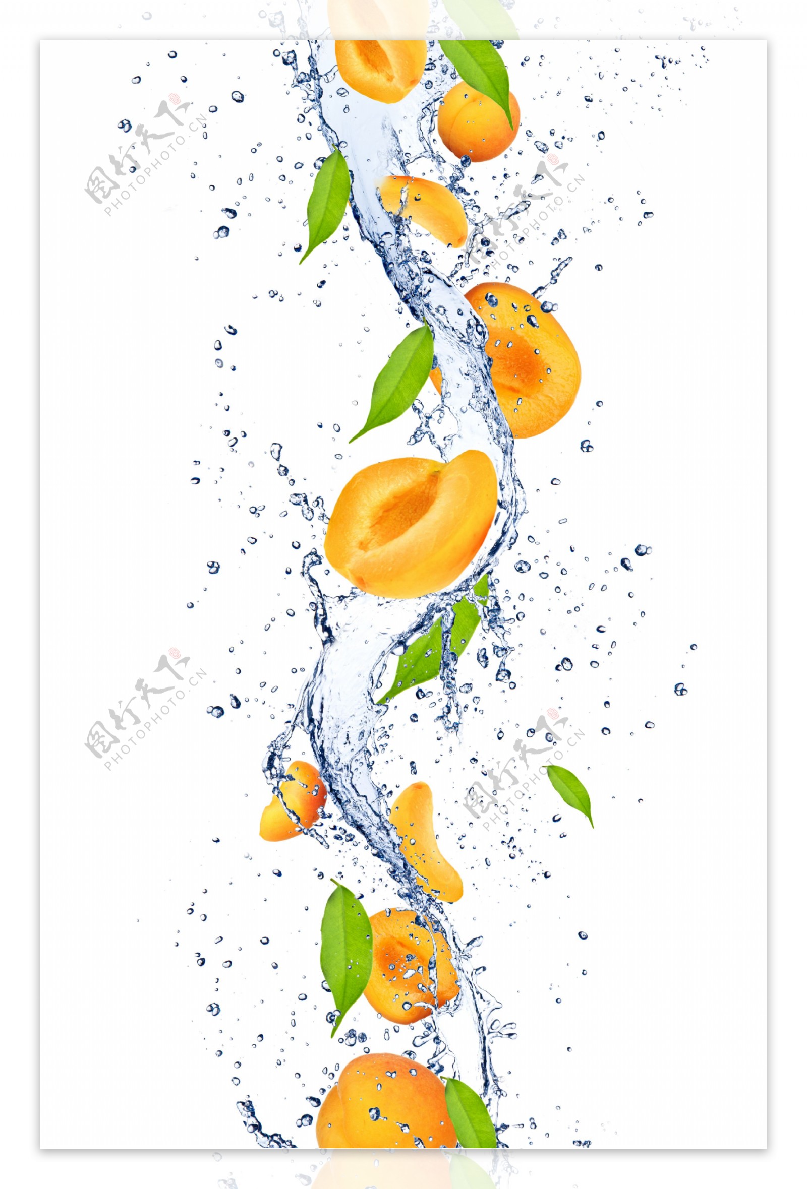 新鲜杏子与动感水花