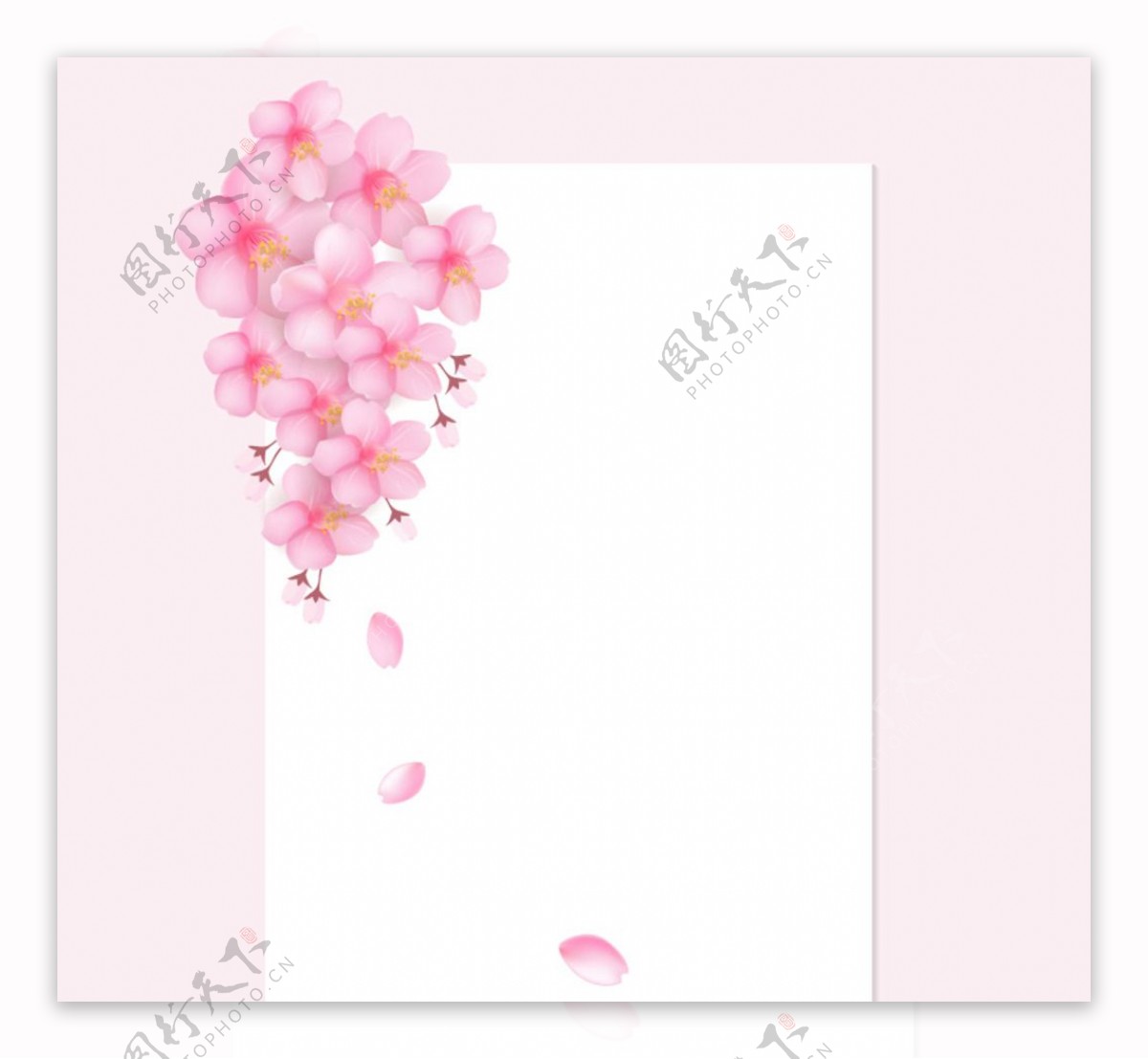 樱花装饰纸张
