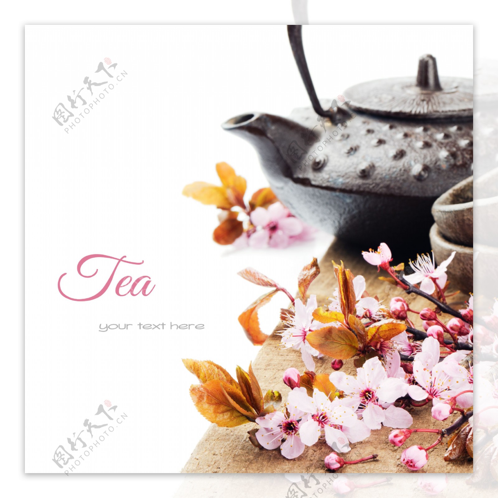 茶壶和桃花图片