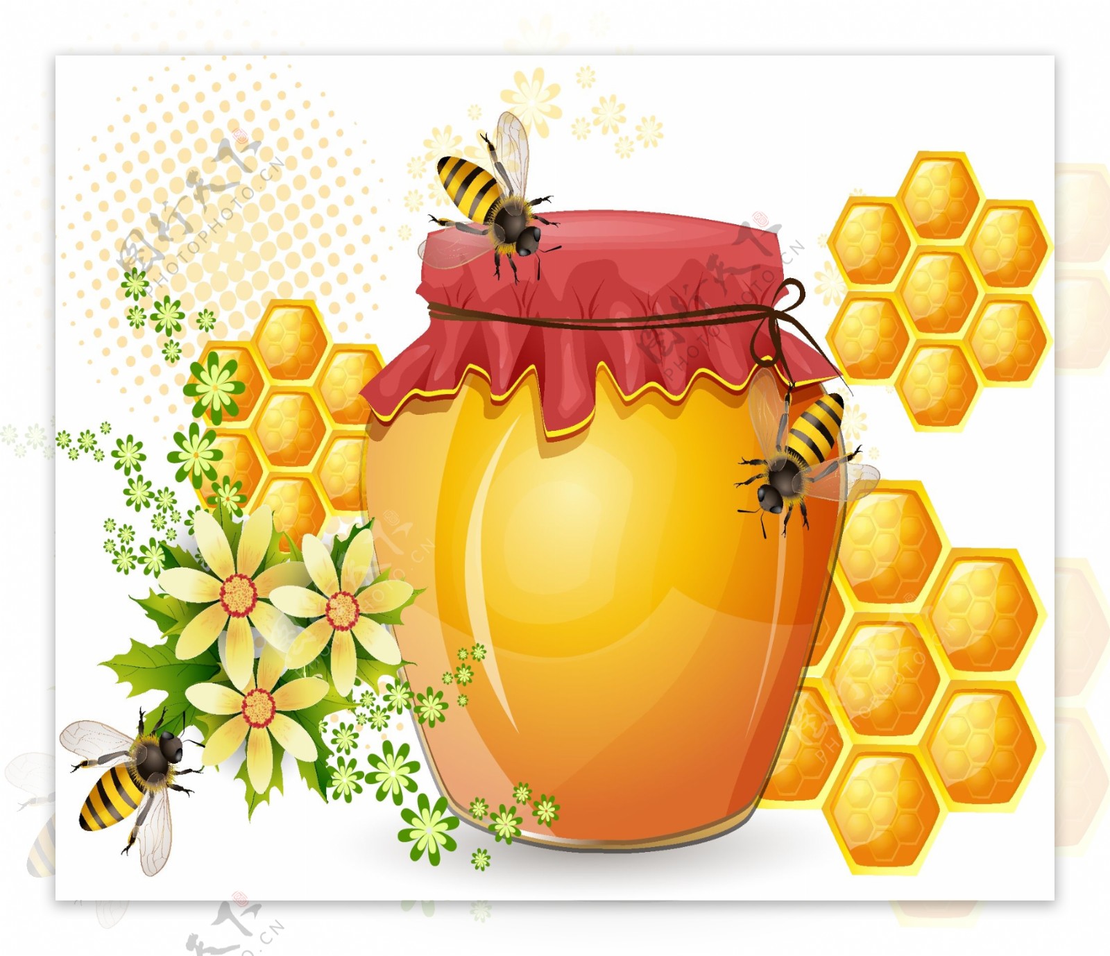 蜜蜂蜂蜜