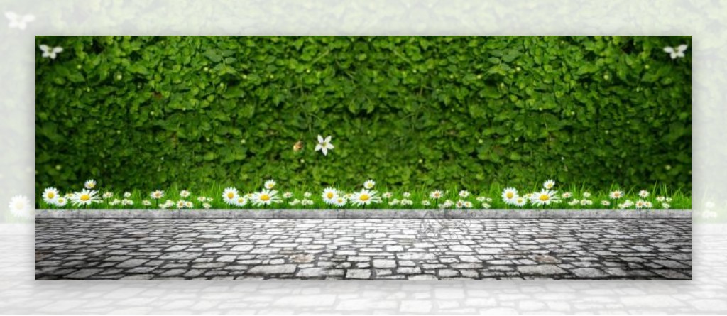 绿色植物墙淘宝背景