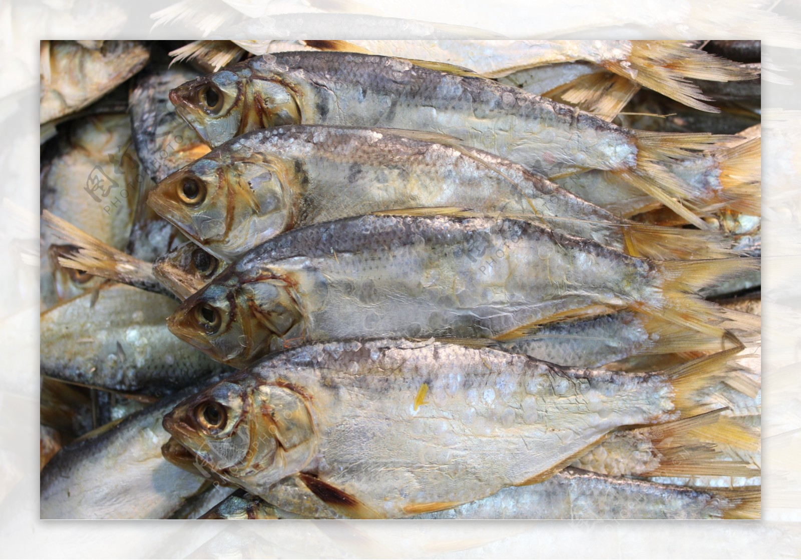 食物食材鱼干咸鱼海鱼干摄影图配图高清摄影大图-千库网