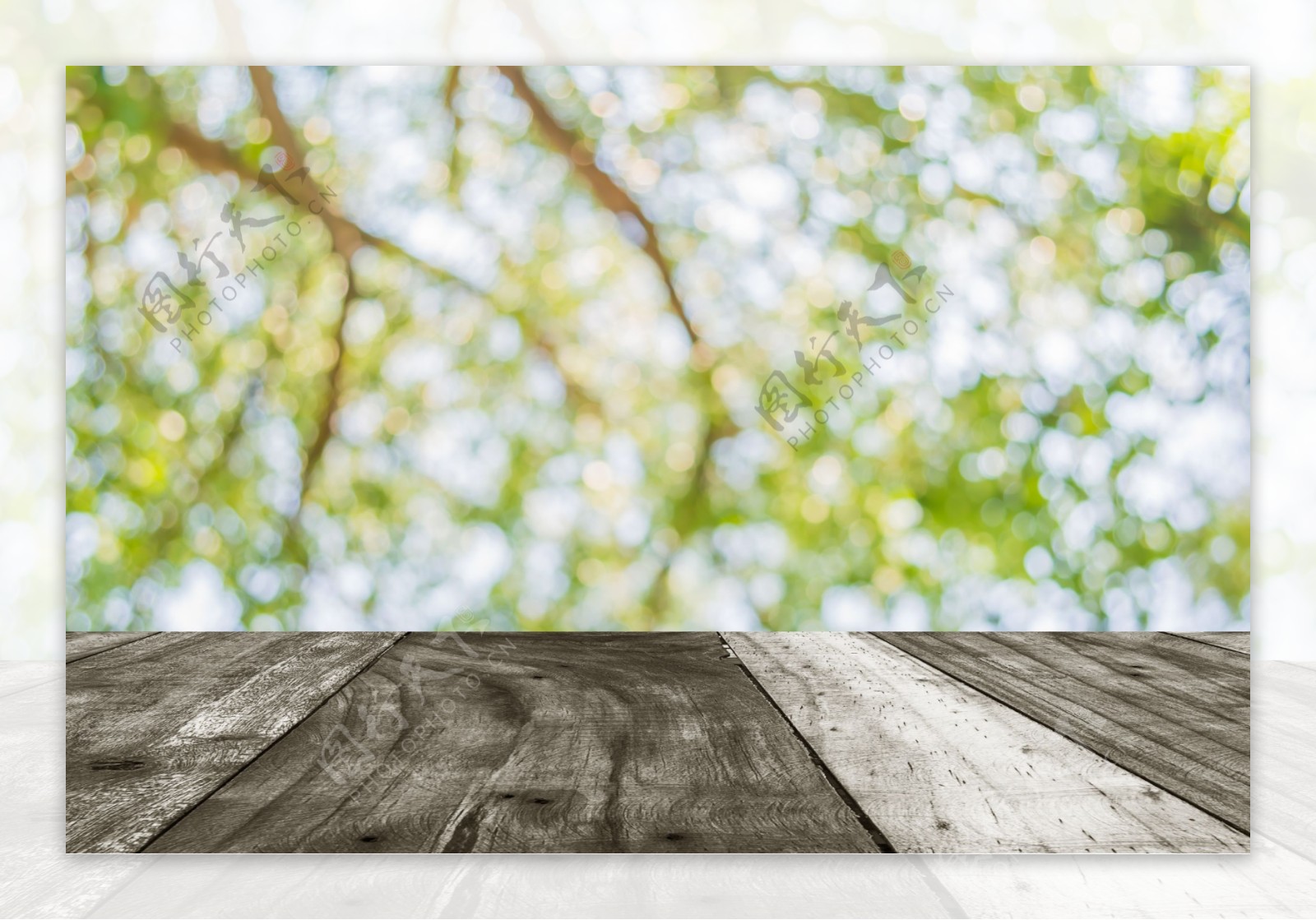 梦幻树林木板背景图片