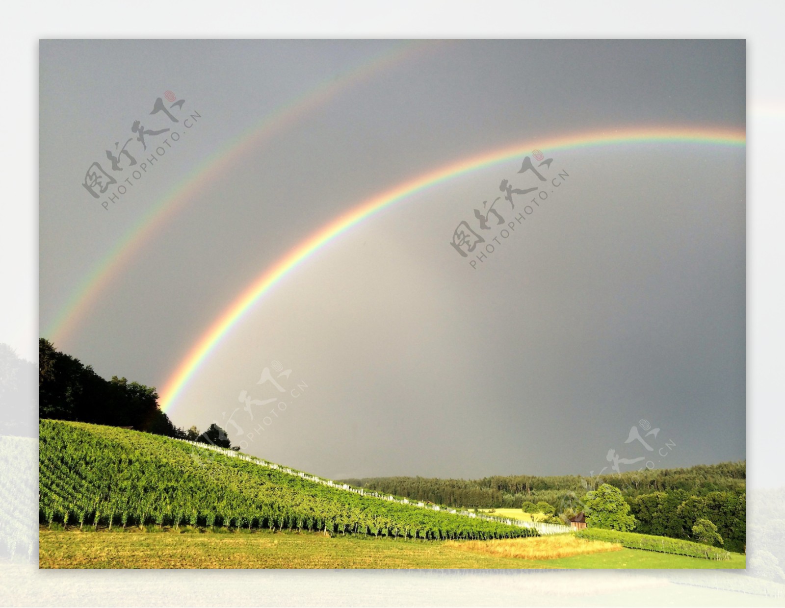 田园雨后彩虹图片