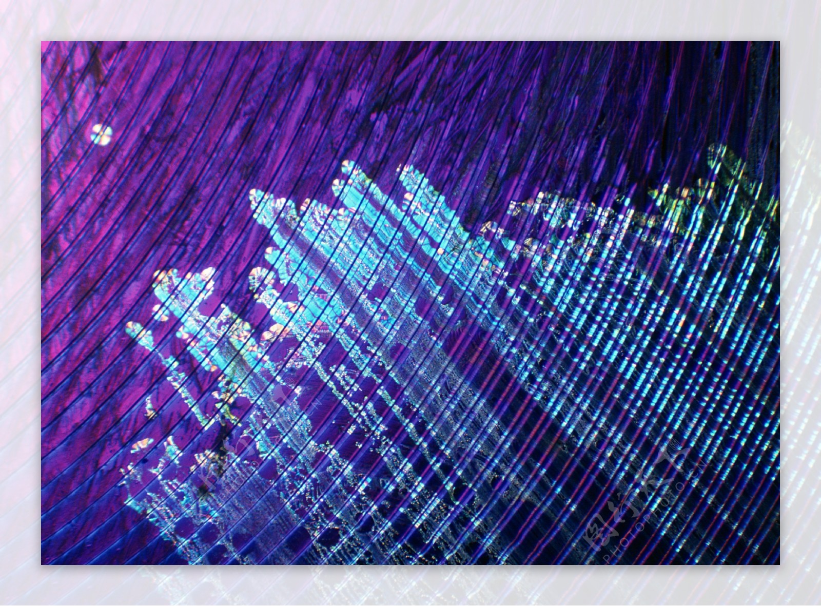 紫色纹理结晶