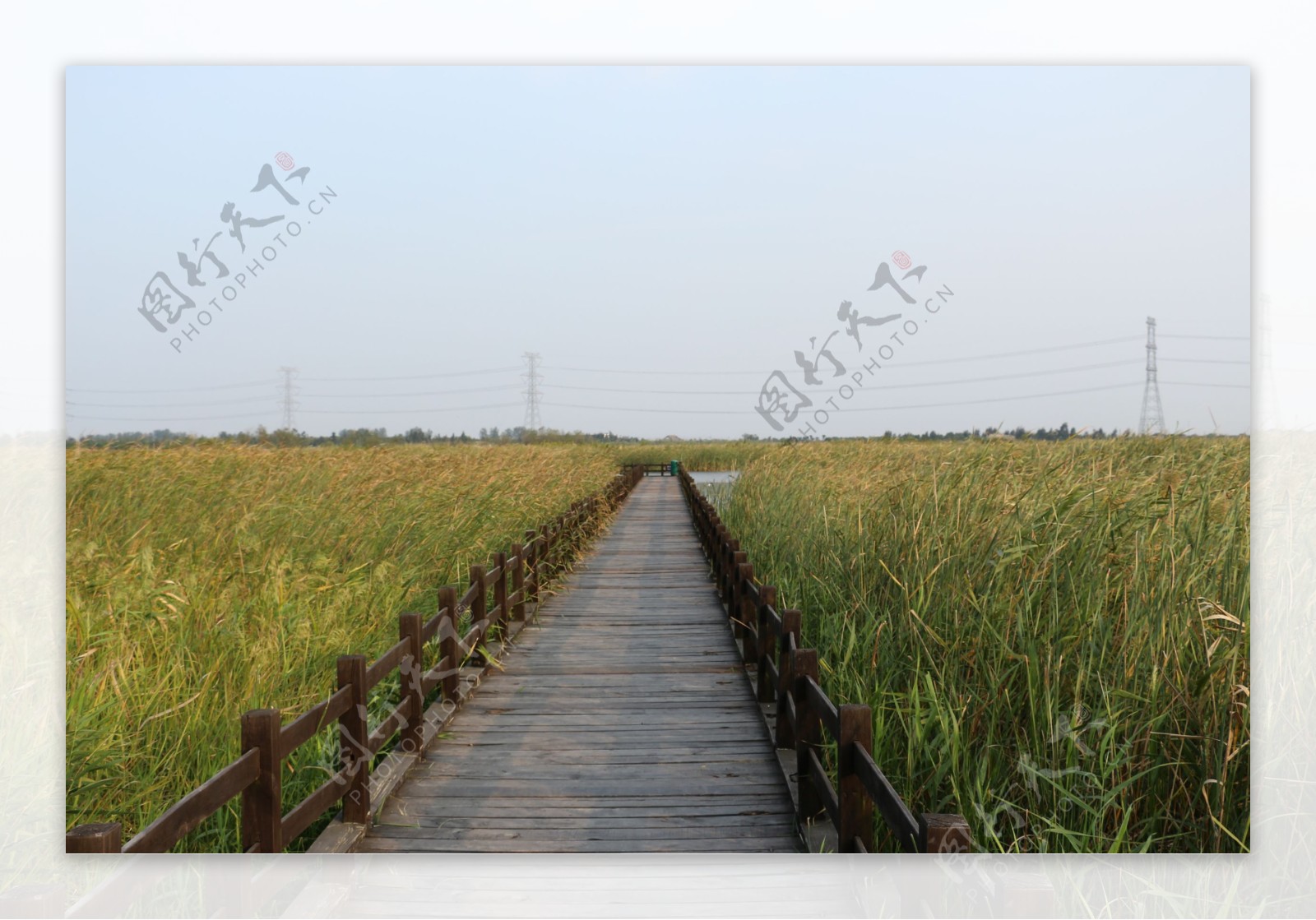 杭州湾湿地公园木板路图片