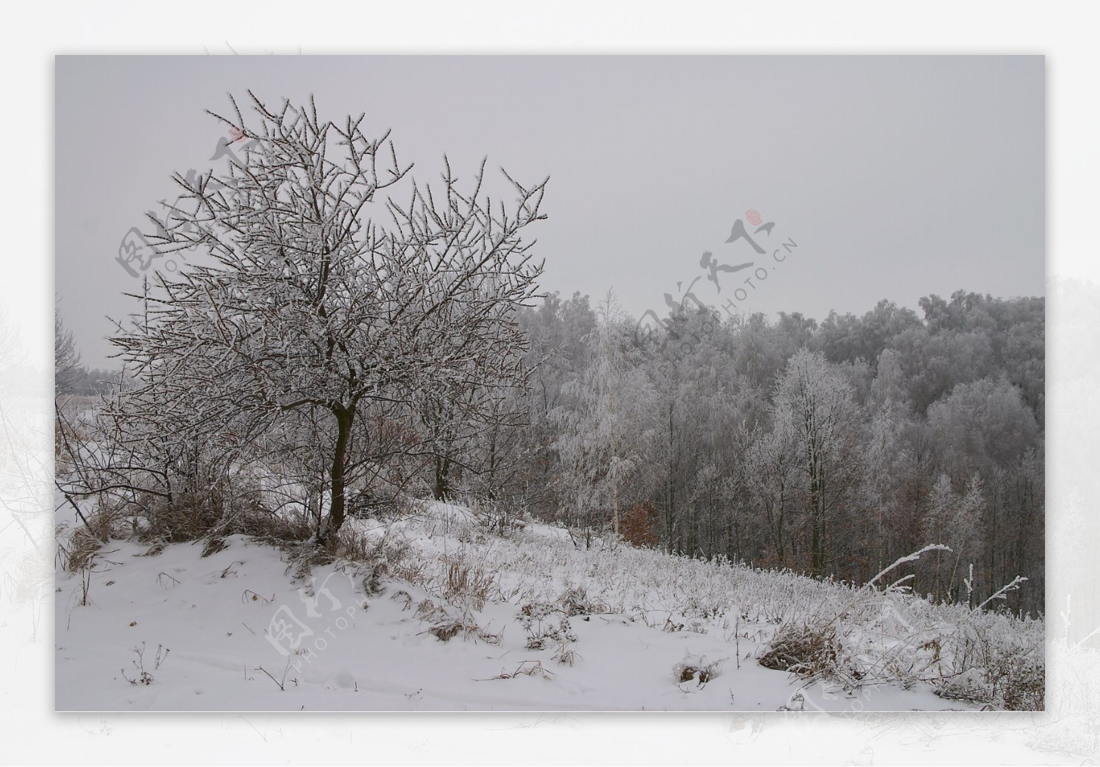 美丽冬天雪景