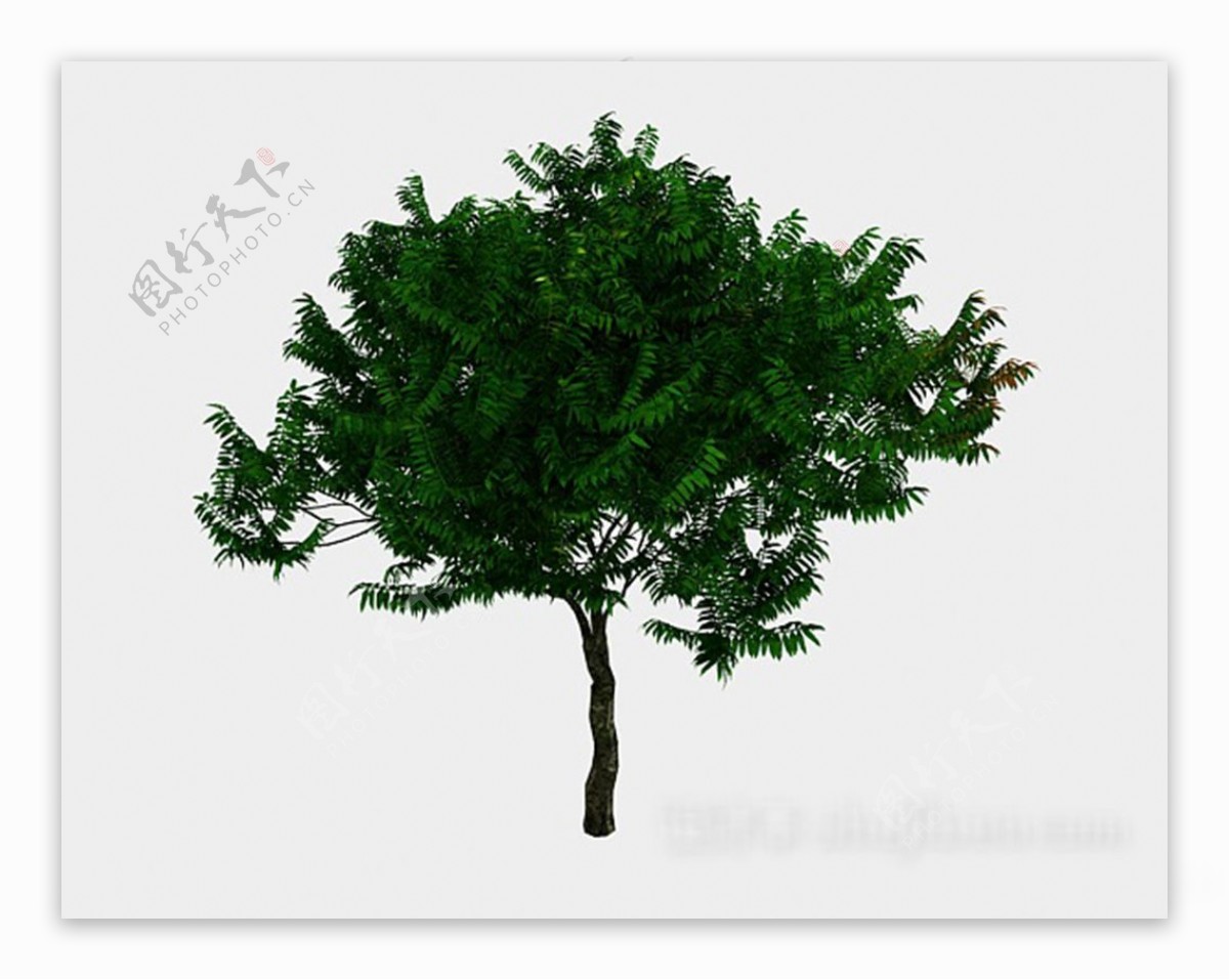室外绿色植树3d模型下载